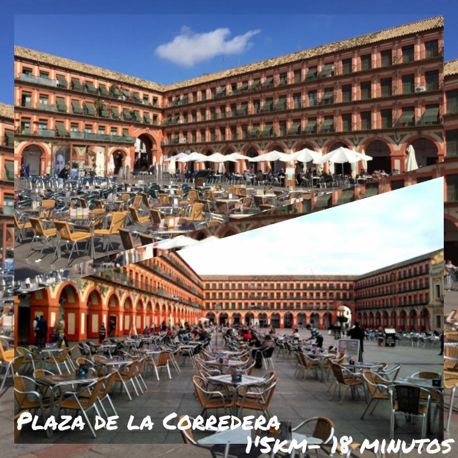 Apartmán Tati Flat - "Parking Facil" Córdoba Exteriér fotografie